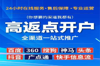 SEM代运营公司案例分析报告